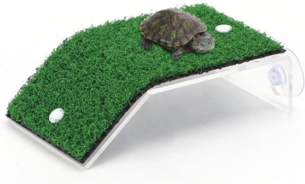 plataforma de juegos para tortugas