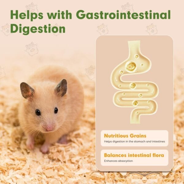 Pienso para hamsters,Alimento sano y equilibrado para ratones - Image 5