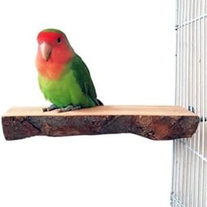 Plataforma De Percha De Pájaro De Madera De Manzana Natural, Accesorios De Jaula De Pájaros De Rama, Molienda De Garras, para Periquitos, Cacatúas, Conures, Pinzones, Tortolitos, Etc. (1 PC)