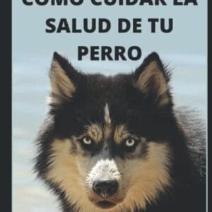 COMO CUIDAR LA SALUD DE TU PERRO