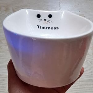 Cuenco de comida para gatos y perros, cuenco de cerámica para mascotas, cuenco de comida anti vómitos para gatos con diseño de inclinación, cuenco de comida para gatos, cuenco para gatos (cuenco de