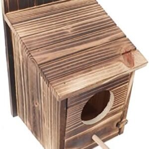 GANAZONO 2 Piezas Comedero para Pájaros De Madera Dispensador De Comida para Pájaros En El Exterior Alimentador De Sebo Alimentador De Pájaros De Bricolaje Decoración Comida De Pajaro Jaula