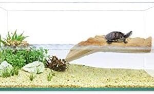 ICA Kit Tortuguera Isla 40 Reptiselva 1000 g