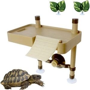 Plataforma Tortugas, Plataforma Flotante de Reptiles, Tortuga Flotante Basking Plataforma con Ventosa, eneldo Verde(Size:S)