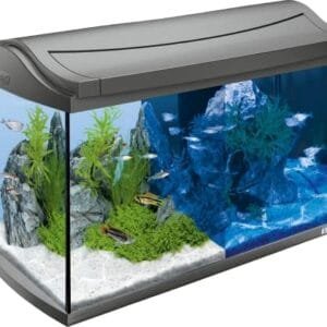 Tetra AquaArt Discovery Line Acuario 60 litros (Juego completo que incluye iluminación LED), Antracita