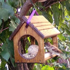 Comedero para pajaros SPARROW