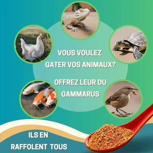 50g Gammarus | Proteínas +42% | Comida para Tortuga, Kui, Pescado, Reptiles | Camarón de Agua Dulce Seca | Bolsa resellable | Suplemento alimenticio Naturaleza | Marca Francesa - Image 2