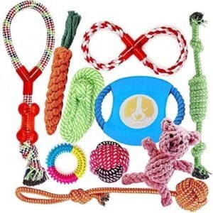 FONPOO Grupo de Juguetes para Perros Durable Masticable Cuerda Soledad Grupo de Juguete para Perrito Pequeño Medio Solitario para Mantener a su Perro Sano 10 Piezas …