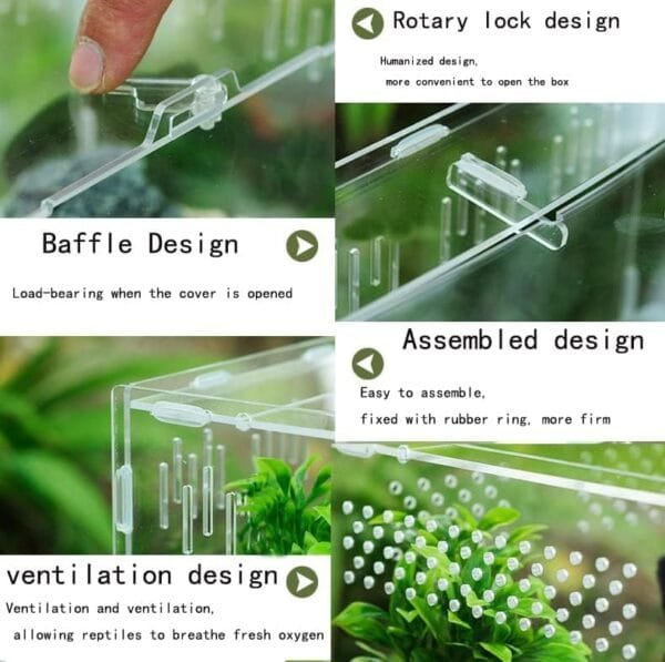 Topspitgo Terrario de Caracoles,Caja de Transparente Transporte de Acrílico,Terrario de para Caracoles Arañas Gecko Hámster Serpientes Tortugas Reptiles Portátiles de Alimentación de Insectos - Image 4