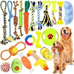 JOTOL Juguetes para Perros,20pcs Juguete para Morder para Perro,100% Algodón Natural Durable Masticable Cuerda,Juguetes Interactivos para Limpiar Los Dientes Adecuado para Pequeño y Mediano