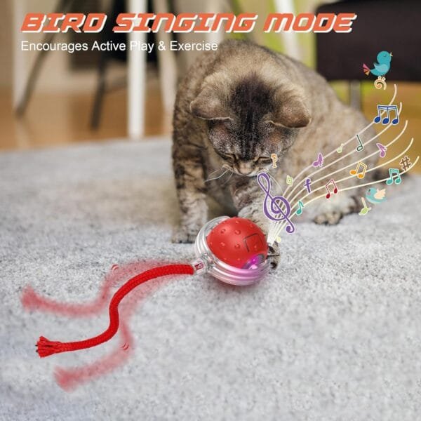 Juguetes interactivos eléctricos para Gatos - Image 10