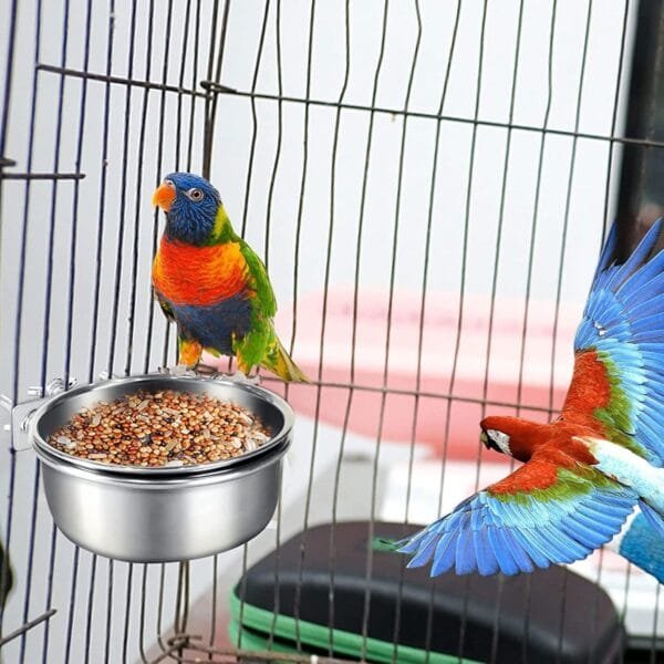 YENVWG Comedero para pájaros con abrazadera, plato de alimentación para pájaros, de acero inoxidable, comedero para loros, cuencos de comida atornillados - Image 2