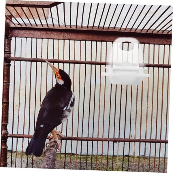 YARNOW 5 Piezas Caja De Comida para Pájaros Comedero De Agua para Pájaros Comedero para Pájaros Plato De Comida para Loros Casas De Aves Jaula De Loros Bebedero El Plastico - Image 4