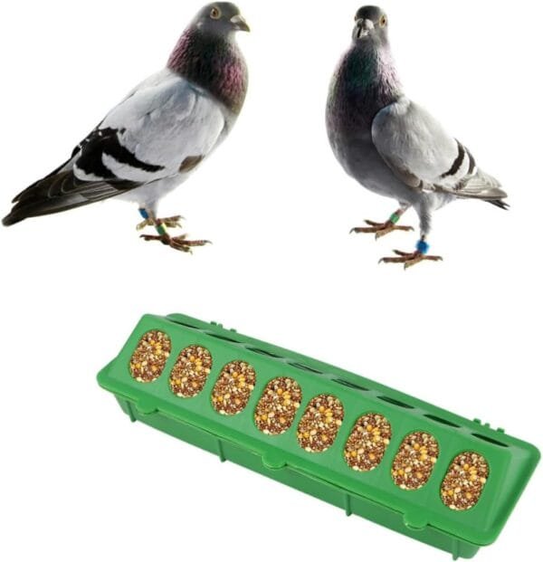 YARNOW 4 Piezas Ranura De Alimentación De Palomas Bebedero para Pájaros Plato De Comida para Pájaros Comedero para Aves De Corral Bebedero para Pollos Alimento Equipo De Paloma Huevo Bebé - Image 8