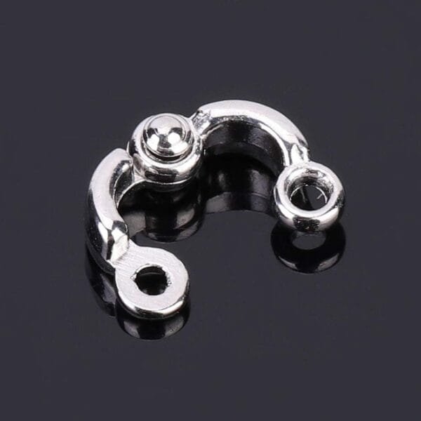 5 anillos de pata de loro, cadena de metal para mascotas, pájaros, apertura, anillo de entrenamiento, accesorios para jaula de loros (Nº 5) - Image 9