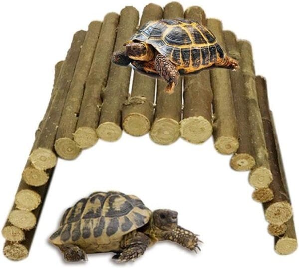 Geggur Escalera de Madera Hamster Chew Bridge Puente para hámster Loro pájaro Madera Juguete,Natural Living Escalera para Hamsters para Reptil Lagarto Tortuga Erizo Pequeño Animal Masticar Juguete - Image 5