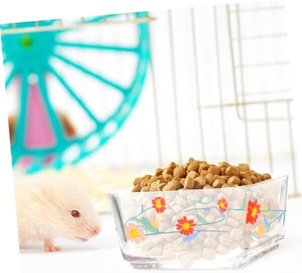 Yardwe 2 Piezas Tazón de Comida para hámster comedero para Conejos Plato Cuadrado para Hamster comedero Hamster Comedero para Hamster comedero Lavable tazón de Conejo de Vidrio - Image 8