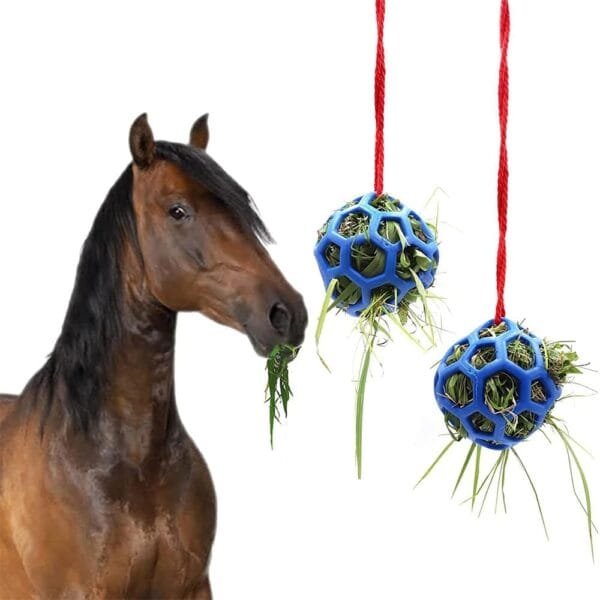 ieron Bola de comedero de heno colgante para conejo, juguete para animales pequeños, mascotas, cobayas y tortugas (azul) - Image 3