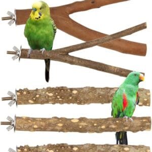 Madera Natural para Pájaros, 5 Piezas de Soporte para Percha para Pájaros, Accesorios de Jaula para Loros, Ramas de pie, Juguetes para Masticar Loros