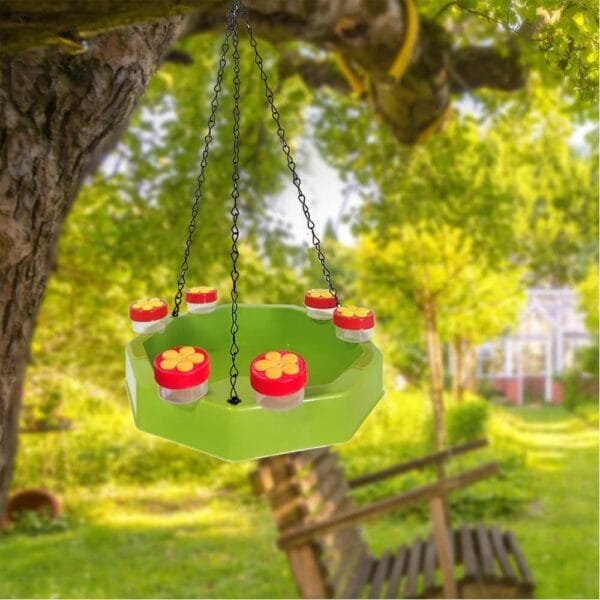 Bañera para Pajaros Jardin,Bebedero Pajaros Exterior Colgar,Comedero Pajaros Exterior,Pajaros Decorativos De Jardín,con 6 Bebederos Automáticos para Pájaros,Agapornis,bañera para Pajaros Canarios - Image 6