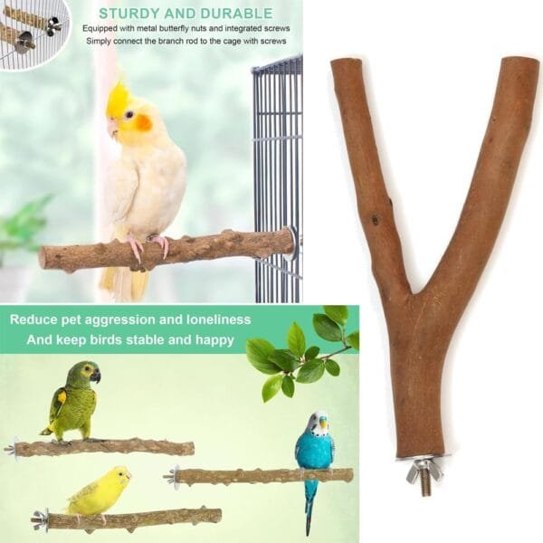 Madera Natural para Pájaros, 5 Piezas de Soporte para Percha para Pájaros, Accesorios de Jaula para Loros, Ramas de pie, Juguetes para Masticar Loros - Image 6