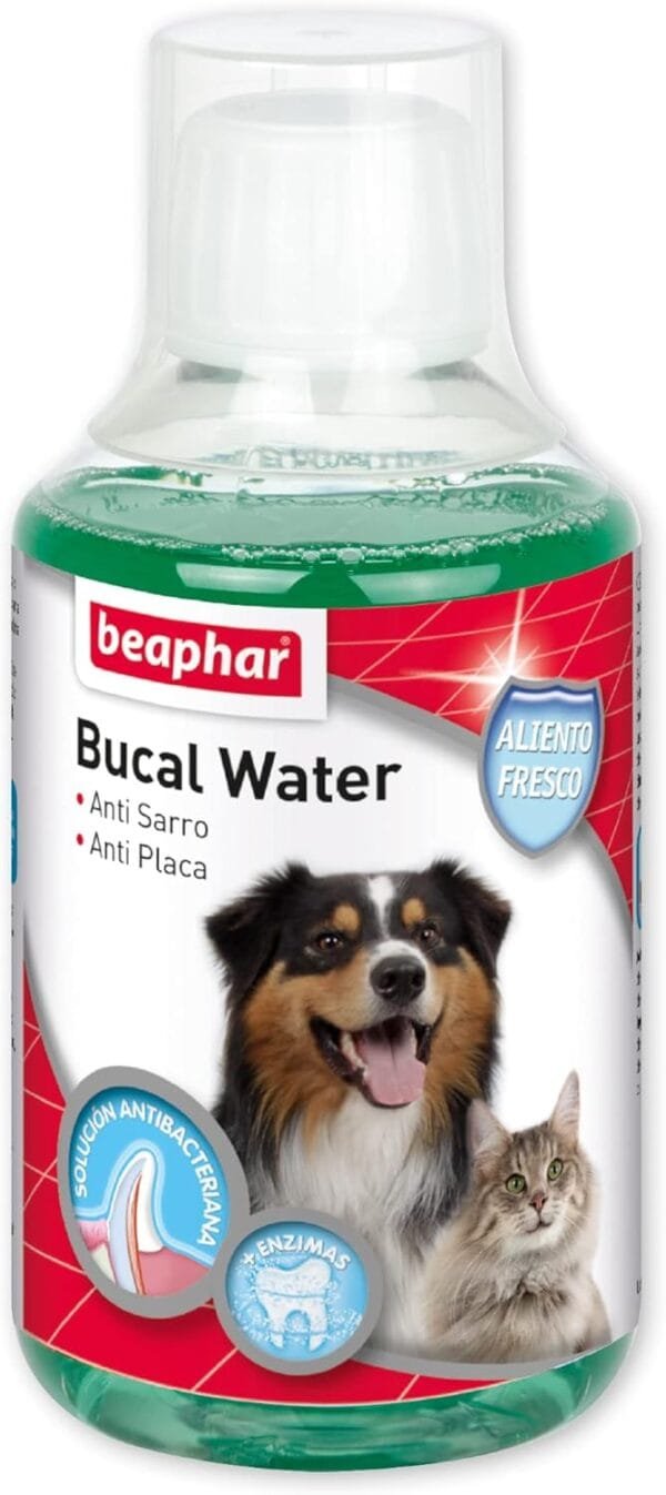 Beaphar Enjuague Bucal Perros y Gatos | Acción enzimática | Antisarro y antiplaca | Aliento fresco | con Clorhexidina | 250ml