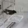 Aceshop Bañera para Pájaros Cuenco de Baño Acrílico Transparente Caja de Baño para Casa de Baño Accesorio de Jaula para Pájaros con Ganchos para Pájaros Pequeños, Pinzón, Canario 12.8 * 11.3 * 13 cm - Image 5