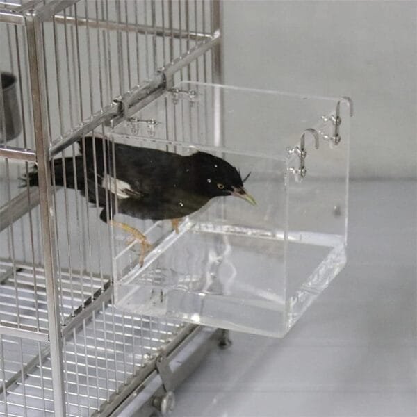 Aceshop Bañera para Pájaros Cuenco de Baño Acrílico Transparente Caja de Baño para Casa de Baño Accesorio de Jaula para Pájaros con Ganchos para Pájaros Pequeños, Pinzón, Canario 12.8 * 11.3 * 13 cm - Image 5