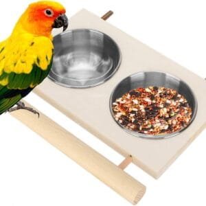 Tazón de Alimentación de Aves de Acero Inoxidable para Jaula Accesorio de Jaula de Alimentador de Agua para Loros con Soporte para Aves como Periquitos Conure Cacatúas Pinzones