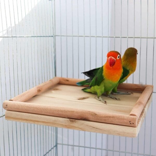 Soporte de perca para pájaros, juguete de plataforma para pájaros, de madera natural, accesorios de poste, molienda de patas, percha de escalada para pájaros, loros, ratas, periquitos, periquitos, - Image 2