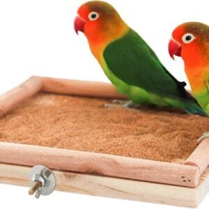 Soporte de perca para pájaros, juguete de plataforma para pájaros, de madera natural, accesorios de poste, molienda de patas, percha de escalada para pájaros, loros, ratas, periquitos, periquitos,