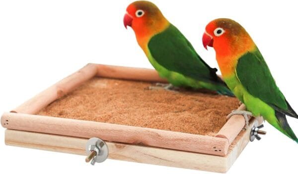 Soporte de perca para pájaros, juguete de plataforma para pájaros, de madera natural, accesorios de poste, molienda de patas, percha de escalada para pájaros, loros, ratas, periquitos, periquitos,