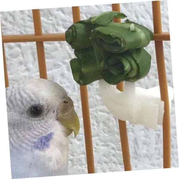 Yardwe 4 Juegos Pájaro con Tenedor De Frutas Comedero Pajaros Bird Feeder Comedero para Pajaros Tenedores De Comida para Loros Tenedor De Verduras De Loro El Plastico 20 Piezas * 4 - Image 7