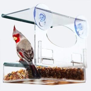 Dispensador de comida para pájaros con ventosa, base de ventosa transparente transparente