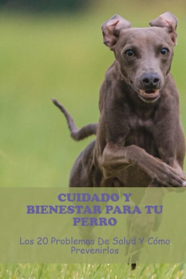 Cuidado Y Bienestar Para Tu Perro: Los 20 Problemas De Salud Y Cómo Prevenirlos