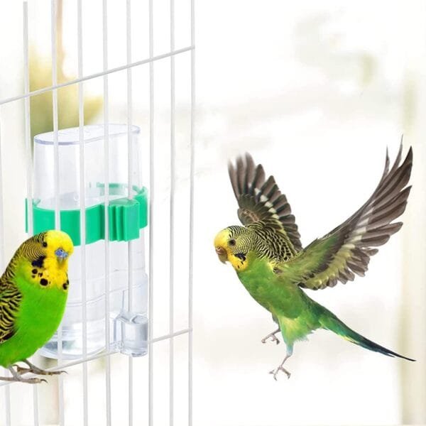 2 Piezas Comedero Automático De Semillas, Pájaros Dispensador De Alimentos, Comedero para Pájaros, Accesorios para Jaulas, Pájaros Dispensadora De Agua, para Pájaros, Loros - Image 5