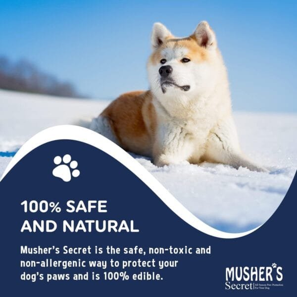 Musher's Secret Crema Almohadillas Perros - Bálsamo para Patas de Perro 100% Natural, Protección con Cera de Abeja y Vitamina E, Paw Balm para Superficies Calientes, Hielo y Terrenos Ásperos. 60g - Image 7