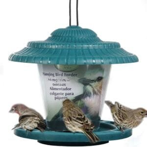 SOONHUA Comedero para Pájaros de Plástico para Colgar Contenedor de Comida para Pájaros con Techo para Patio de Jardín Al Aire Libre