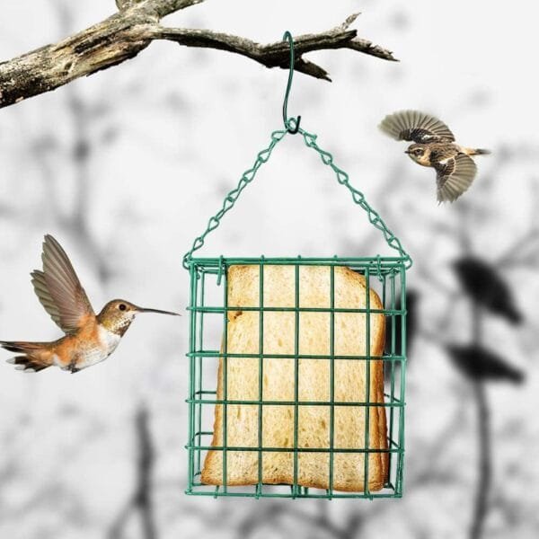 HMLTD sebo para pájaros - Contenedor Comida Tit para Colgar al Aire Libre | Capacidad para un Pan, Dispositivo alimentación a Prueba Herrumbre Fácil Usar y Muy Adaptable - Image 5