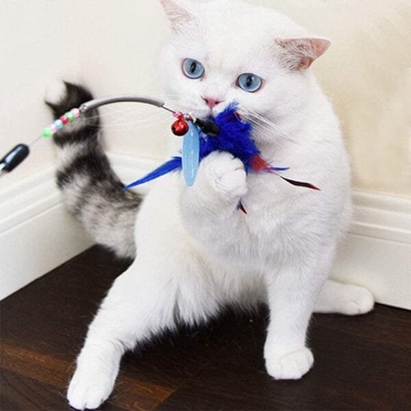 Juguete Gato Pluma,Plumas Gato,Para Gato Jugar Solo Juguetes Interior Gatitos - Image 5