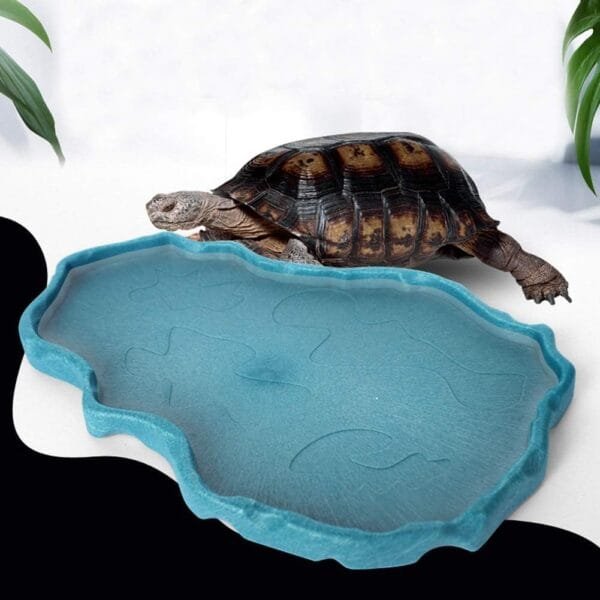 OMEM Plato de Comida para Reptiles、Bandeja de Tortuga、Piscina Poco Profunda、Rana Cornuda、Lagarto、Gecko Bandeja de Cría de Mascotas (Azul - Image 2