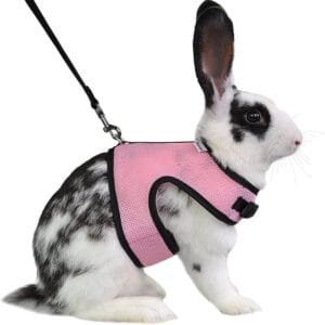 LuLiyLdJ Arnés de Conejo Enano Rosa, Correas de Conejo, Accesorios de Conejo, cómodo arnés de Conejo con Correa elástica para hámsters Rata Erizo ratón pequeños Animales (M)