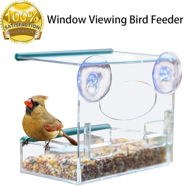 Dispensador de comida para pájaros con ventosa, base de ventosa transparente transparente - Image 2