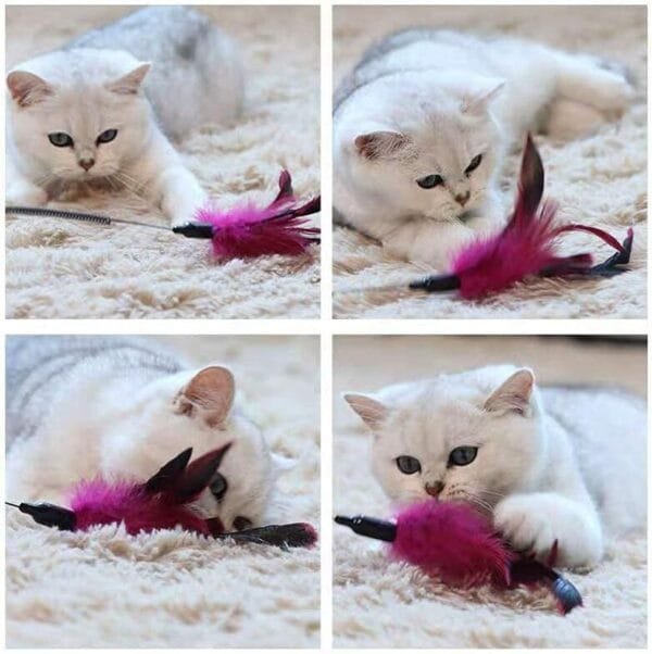 Juguete Gato Pluma,Plumas Gato,Para Gato Jugar Solo Juguetes Interior Gatitos - Image 7