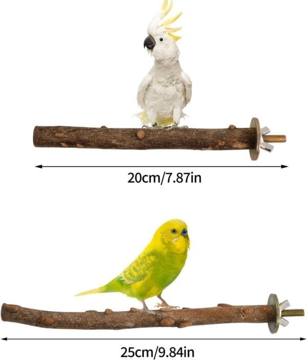 Perchas para pájaros, 5 unidades, accesorios naturales para pájaros, como periquitos, canarios, agapornidos, barras de madera natural para el pájaro como accesorio importante para pájaros en la jaula - Image 2