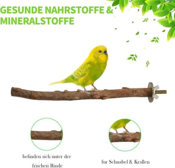 Perchas para pájaros, 5 unidades, accesorios naturales para pájaros, como periquitos, canarios, agapornidos, barras de madera natural para el pájaro como accesorio importante para pájaros en la jaula - Image 3