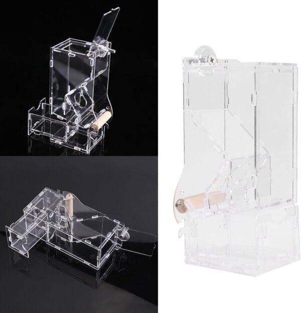 Fdit Comederos Automáticos para pájaros Alimentador de pájaros Acrílico Transparente Accesorios de Jaula de Loro - Image 2