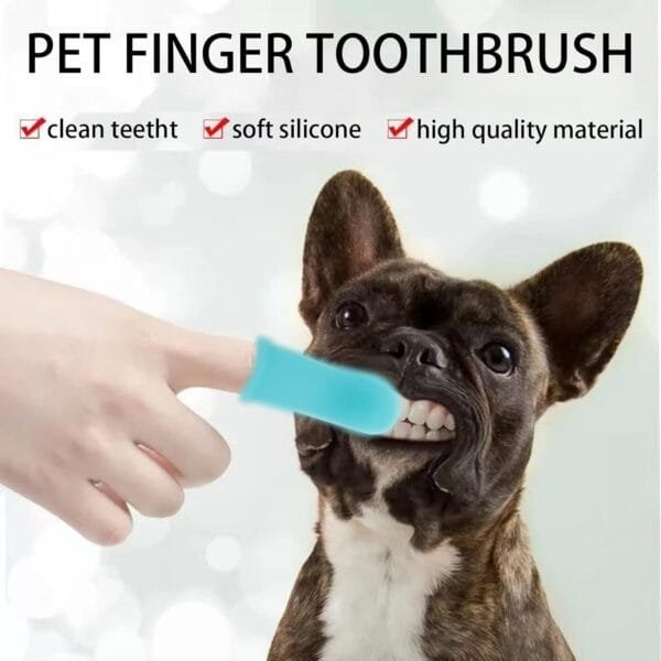 BDSHUNBF 6 Piezas Cepillo de Dientes para Perros, con Caja de Almacenamiento, Cepillos de Dientes para Limpieza de Dientes de Mascotas, Cepillo de Dientes de Silicona para Perros Gatos Cuidado Dental - Image 6