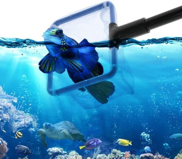 Geoyien Limpiafondos Acuario, Limpieza Acuario, Sifonador Acuario, Kit de Limpieza de Acuarios y Peceras, Sifón y 5 Herramientas de Limpieza, Fácil de Desmontar, para Cambios de Agua y Limpieza - Image 7