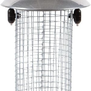 Comedero de Cacahuetes para pájaros de jardín pequeño, Hierro Recubierto de Polvo, Plata, 22 cm